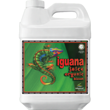 Iguana juice bloom organic